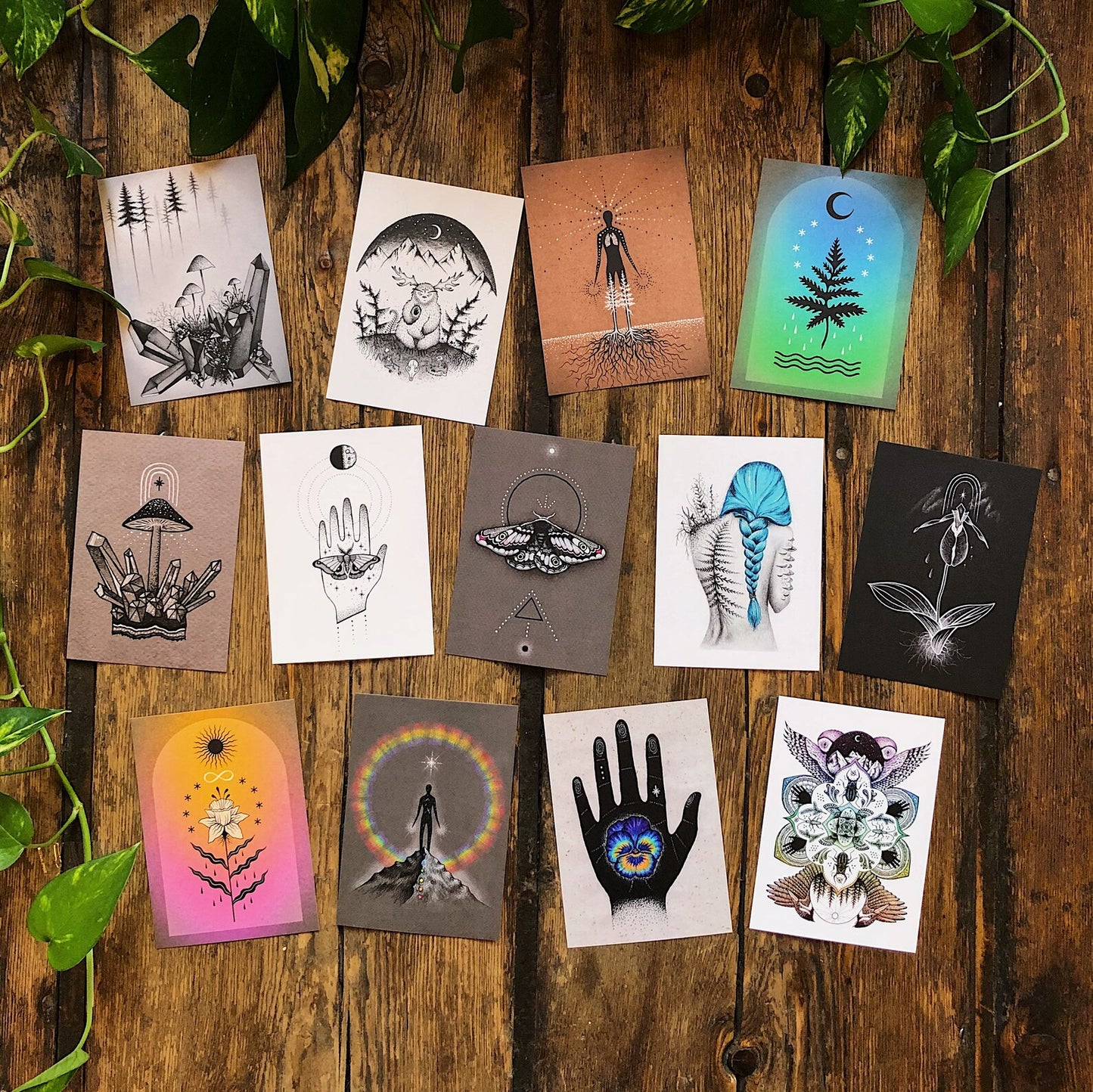 Strange Pine Postcard Set