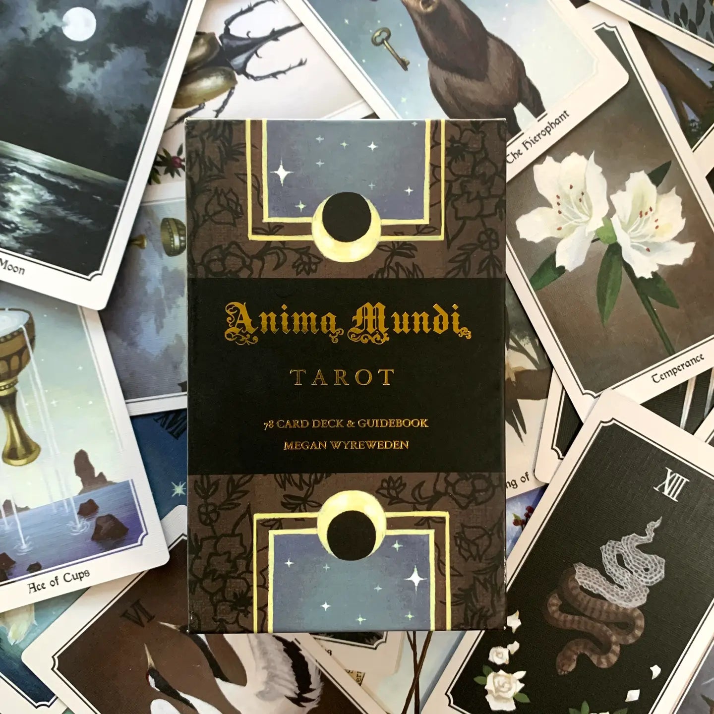 Anima Mundi Tarot - 78 Card Deck with Guidebook